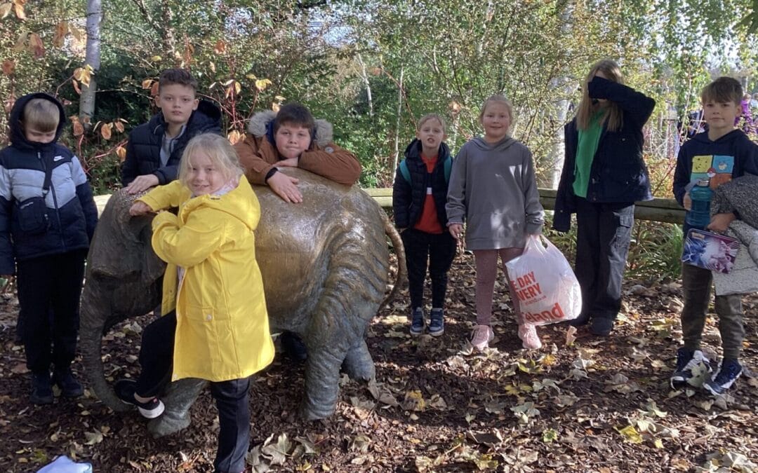 Paddington Visit Chester Zoo