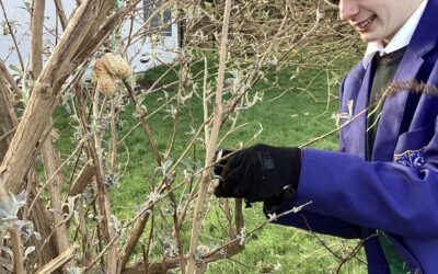 Pupils Prepare for the Big Garden Birdwatch