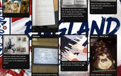 Wall of Fame: Celebrating the Week at Vyner
